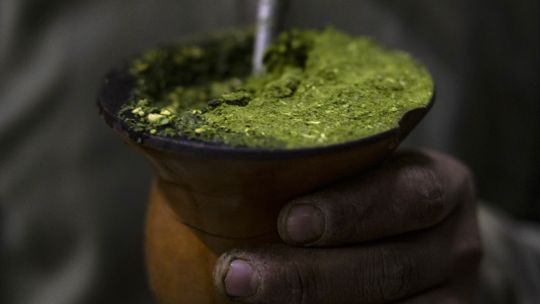 detras-de-la-locura-por-la-yerba-mate,-los-agricultores-argentinos-lamentan-la-austeridad-de-milei