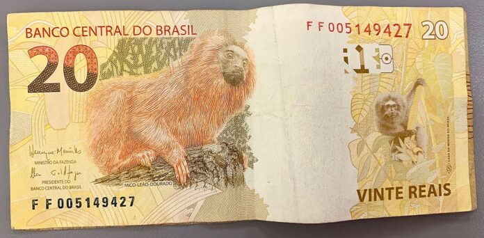 el-fmi-insta-a-brasil-a-limitar-los-pagos-de-nuevos-prestamos-debido-a-un-incumplimiento-de-70-millones