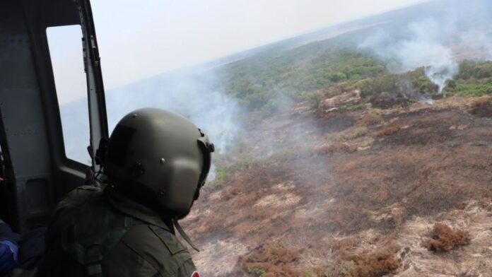 barranquilla-crea-mesa-permanente-contra-las-quemas-en-el-parque-isla-salamanca:-¿el-inicio-del-fin-de-esta-historica-problematica-ambiental?