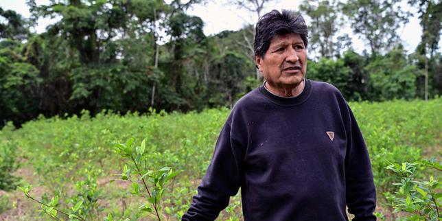 bolivia:-mandato-de-arresto-contra-el-ex-presidente-evo-morales-para-su-papel-en-las-manifestaciones-antigubernamentales
