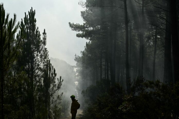 francia-autoriza-a-regresar-a-sus-hogares-a-84.000-evacuados-por-megaincendio