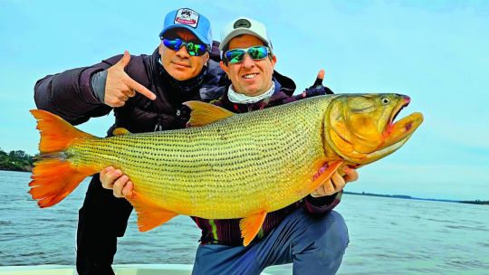 el-regreso-de-los-dorados-gigantes