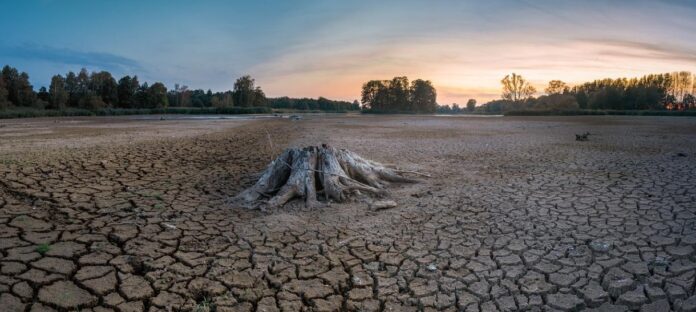 la-omm-advierte-que-el-nino-se-intensificara-entre-agosto-y-octubre-con-temperaturas-globales-por-encima-de-la-media