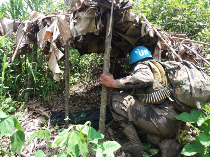 fdlr-disarmament-deal-fails-to-sway-rwanda