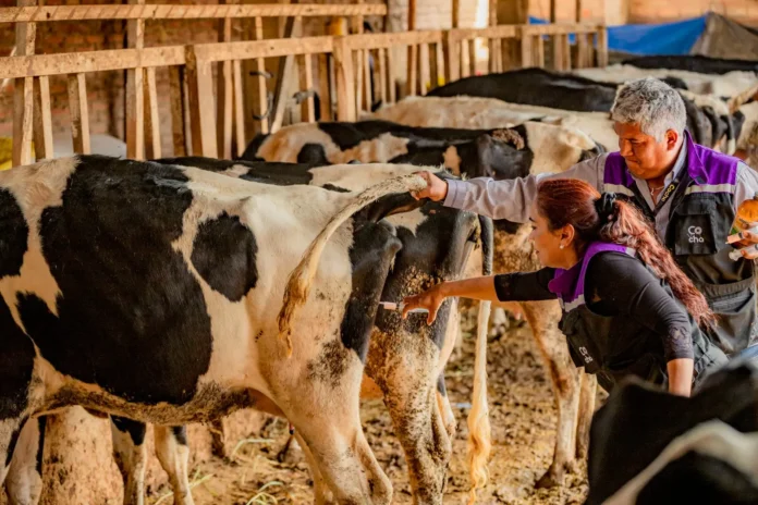 lanzan-en-cochabamba-un-programa-de-sanidad-animal